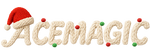 ACEMAGIC IT