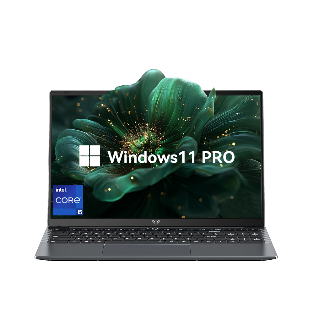 ACEMAGIC LX15 Pro Intel® Core™ i5-12600H 15,6" Laptop